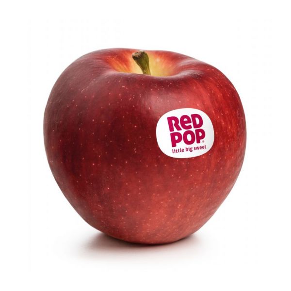 CIVM49 - RedPop®